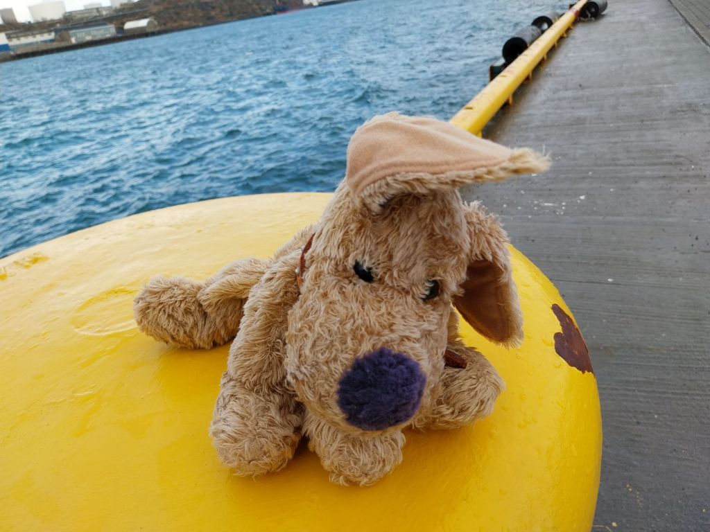 North to South –&nbsp;Bodo